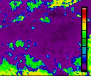 Zenvus Smartfarm makes Thomson Reuters Africa Startups Challenge Final