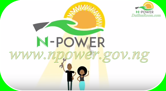 Nigerian Government Suspends N-power Programme