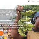 How AgroCenta is using technology to improve the lives of rural African farmers