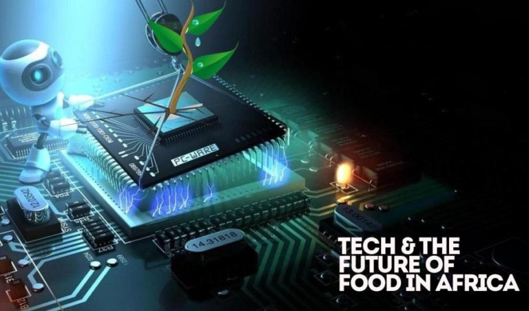 How can you grow food from microchips and software and assure food security in Africa?