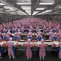 Apple Supplier, Foxconn, to Set Up $1 Billion Factory in India As Tech Exodus Looms in China