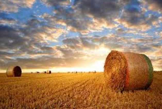 How tech could improve World Bank and Africa Re farm insurance partnership in Africa