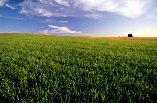 This is how Nigerian banks could acquire their next 30 million customers