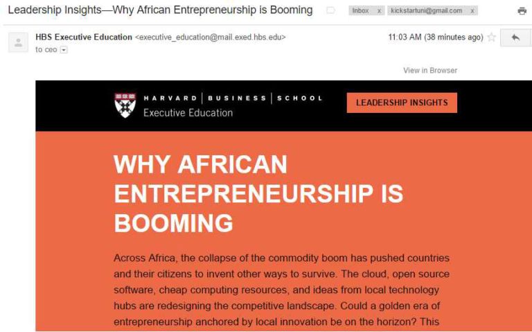 Harvard Leadership Insights—Why African Entrepreneurship is Booming by Ndubuisi Ekekwe