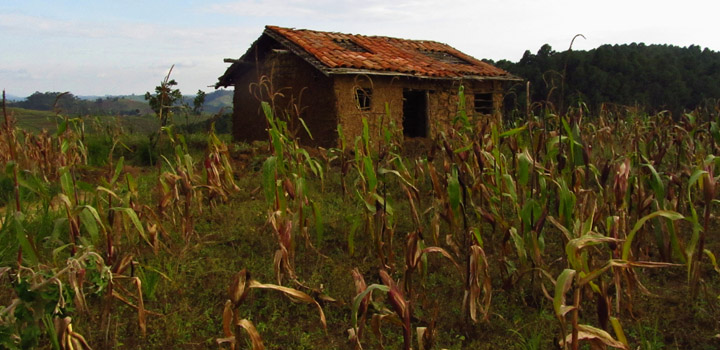 Agricultural policies in Africa could be harming the poorest
