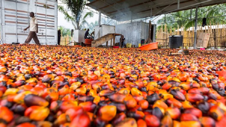 How Digital Technology Is Changing Farming in Africa – Harvard Business Review – Ndubuisi Ekekwe