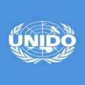 Only 20% Of Nigerian Small Businesses Survive – UNIDO