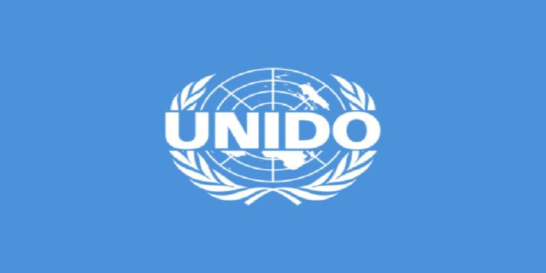 Only 20% Of Nigerian Small Businesses Survive – UNIDO