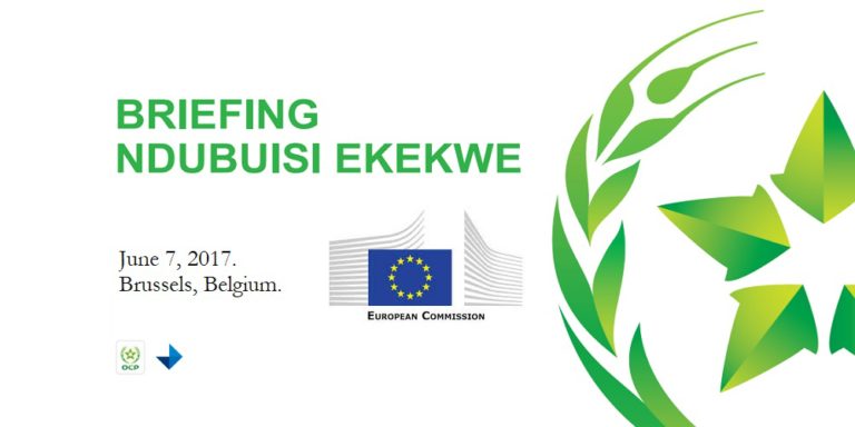 Ndubuisi Ekekwe To Speak In The European Commission, June 7th 2017