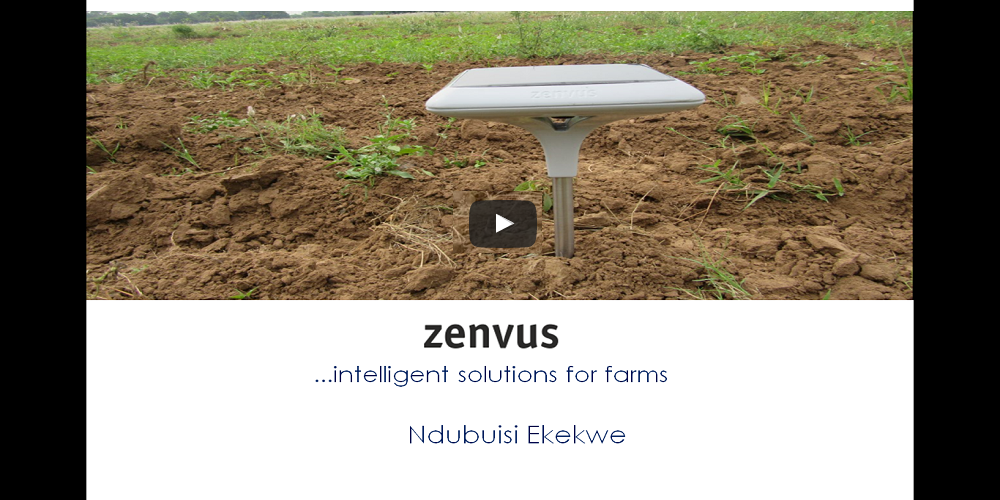 What Is Zenvus?