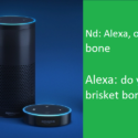 Nigeria’s Alexa Opportunity