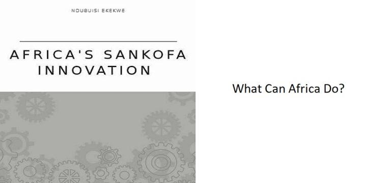 3.3 – What Can Africa Do?