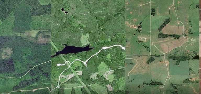 Google’s Environmental Report And Nigeria’s Shrinking Banking Employment