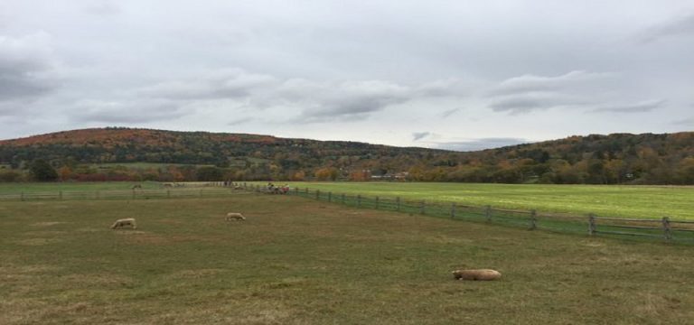 Survey or Map Your Farm, Land and House by Yourself with Zenvus Boundary