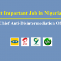 The Most Important Job in Nigerian Telecom Sector: Chief Anti-Disintermediation Officer