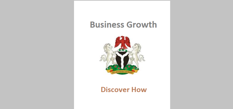 Business Growth: What We’re Doing in Nigerian SMEs, Startups and Big Firms