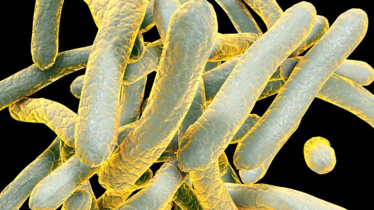 How New Technologies Could Transform Africa’s Health Care System -Ndubuisi Ekekwe – Harvard Business Review