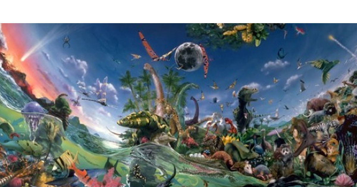 Nigeria's cambrian moment