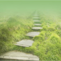 FIND THE PATH: Let’s Work on Your Business Mission This Aug & Sept Fasmicro Consulting