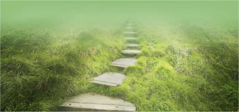 FIND THE PATH: Let’s Work on Your Business Mission This Aug & Sept