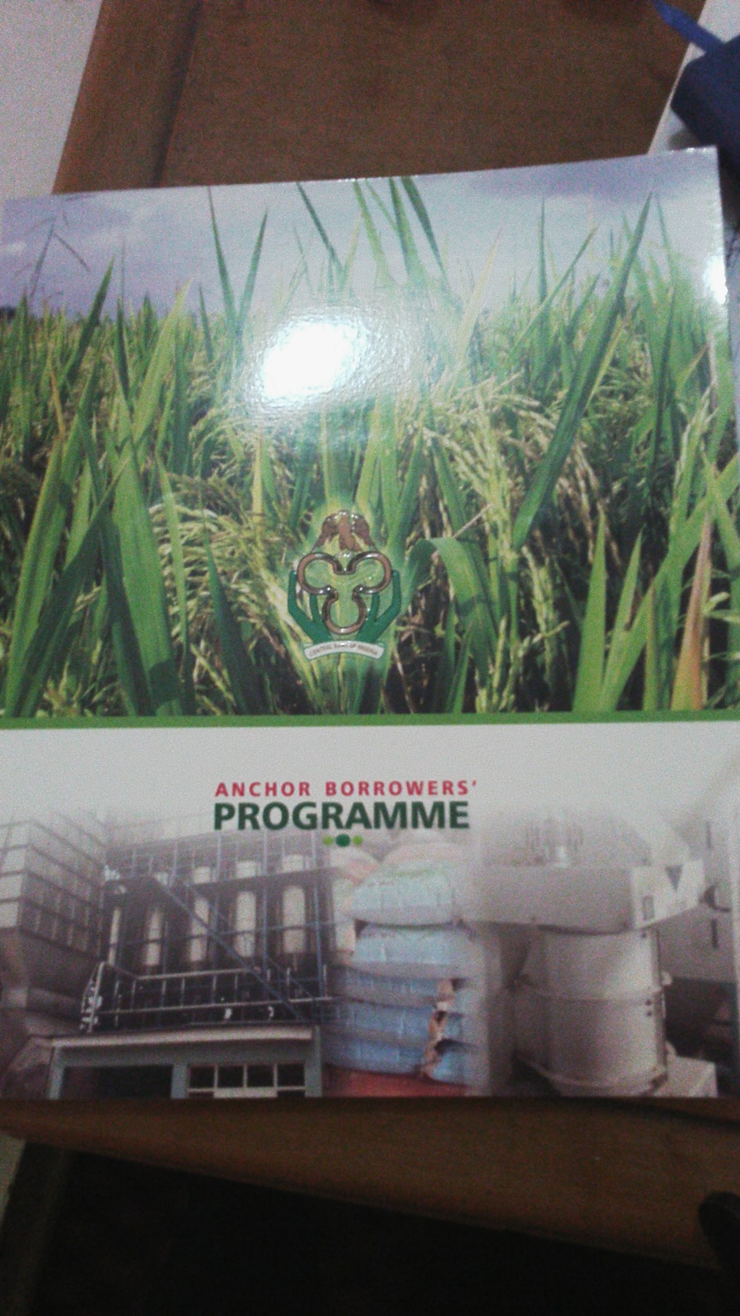 Anchor Borrowers' Programme