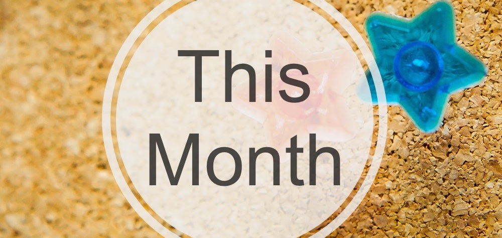 This Month This Month