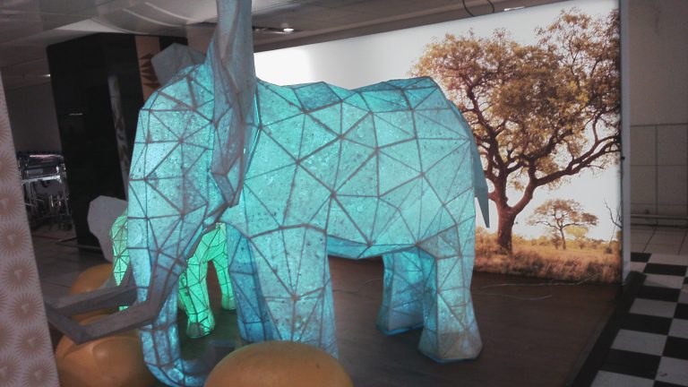 When South Africans Visit Africa