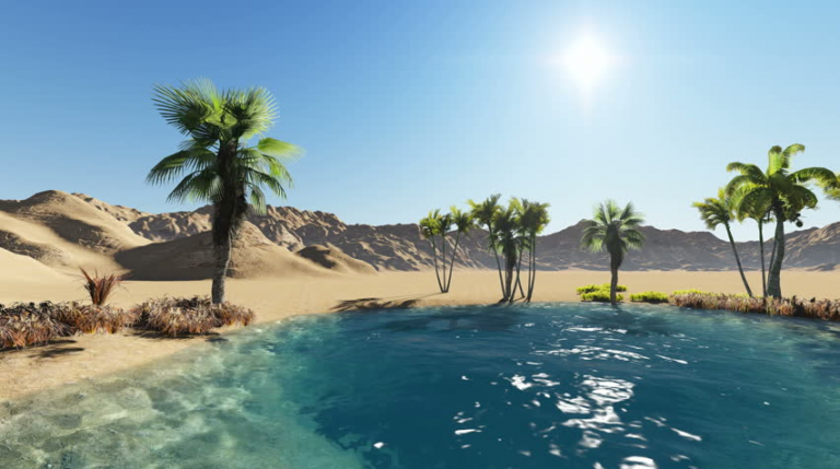 The One Oasis Strategy – A Personal Application