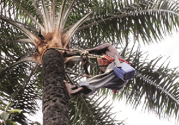 Case Study of Prepaid Services at Scale in Ancestral Africa