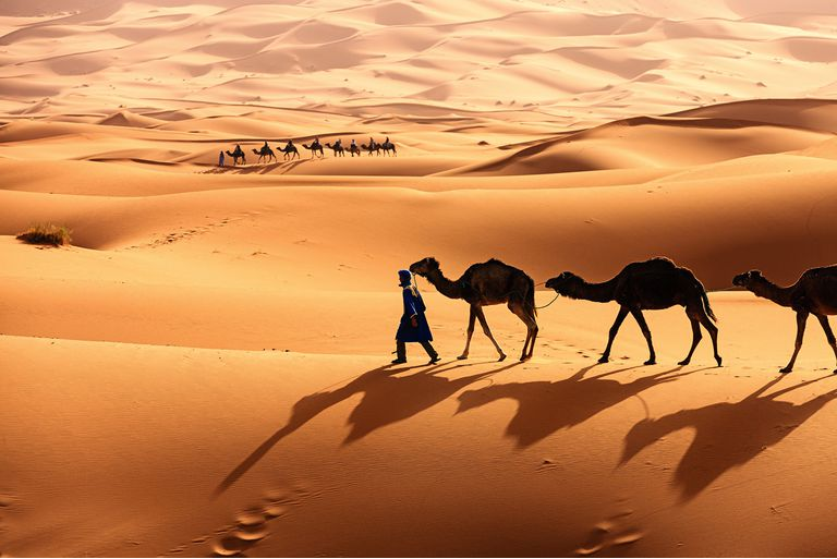 How to Sell Heating Appliances and Forest Mowers in Sahara Desert