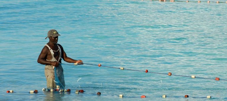 Fishery is Nigeria’s Undervalued Oil