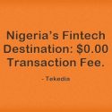 Most Fintechs Built on Transaction Fees Will Fade in Nigeria in 3 Years