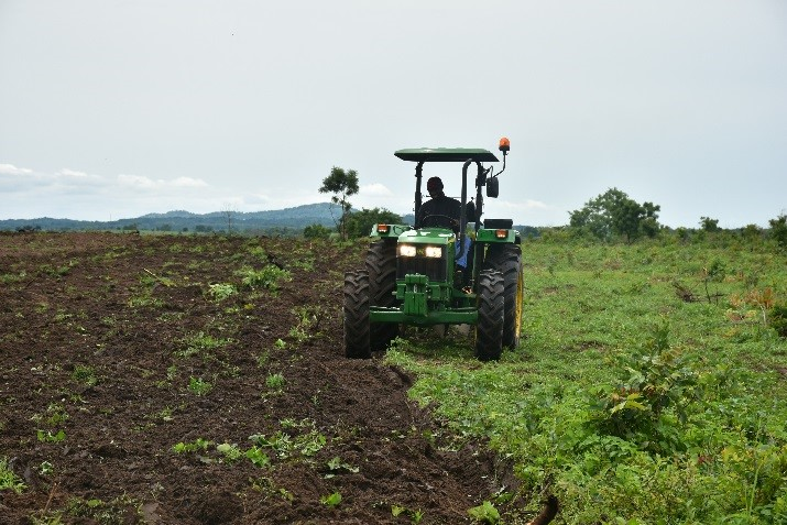 The Challenge Ahead of Dry Season Farming in Nigeria