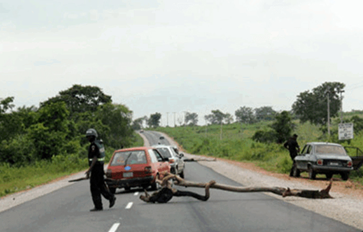 The Menace of Nigerian Police Road Blocks