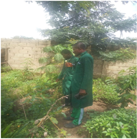 How Mazota Intends to feed Nigeria With Bold Visions on Agriculture