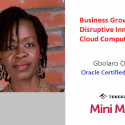 Business Growth and Disruptive Innovation – Cloud Computing