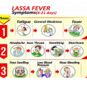 COVID-19: Why Nigeria Should be More Concerned About Lassa Fever