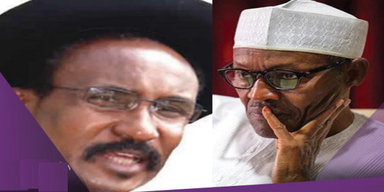 The Col Abubakar Umar’s Letter To President Buhari
