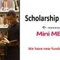 Tekedia Institute Receives More Scholarship Funds