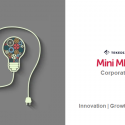 Nurture Your Innovators and Project Champions – Tekedia Mini-MBA for Corporates