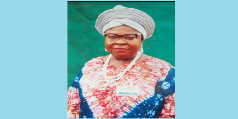 Nigerian Don Appointed into UNESCO Scientific Committee on AI and Social Innovation