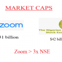 Zoom, Skype, And The Nigerian Stock Exchange
