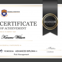 Tekedia Advanced Diploma Programs