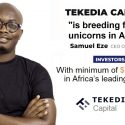 Tekedia Capital is Breeding Unicorns in Africa