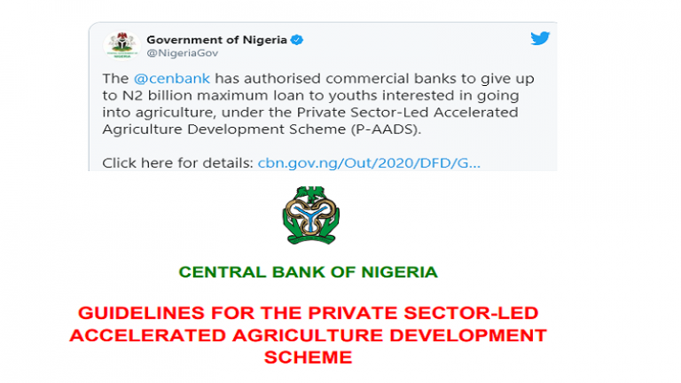 Central Bank of Nigeria Asks Banks To Grant $5.2 Million Loans to Youth Agro-businesses