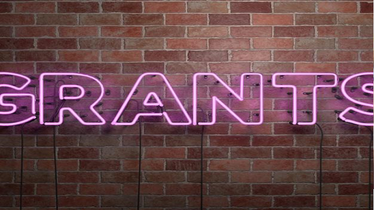 Fundraising via Grants, DFIs, and Governments – Victoria Madedor, Bank of Industry ITC