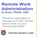 Attend free Remote Work Administration training with Tekedia Mini-MBA