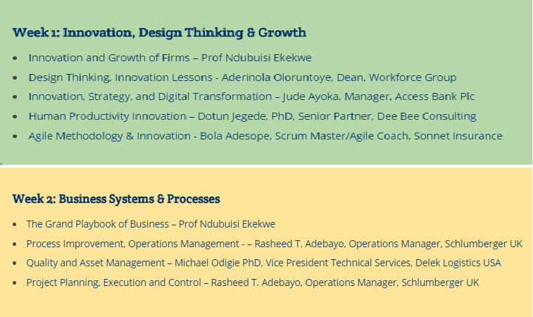 Tekedia Mini-MBA Full Curriculum