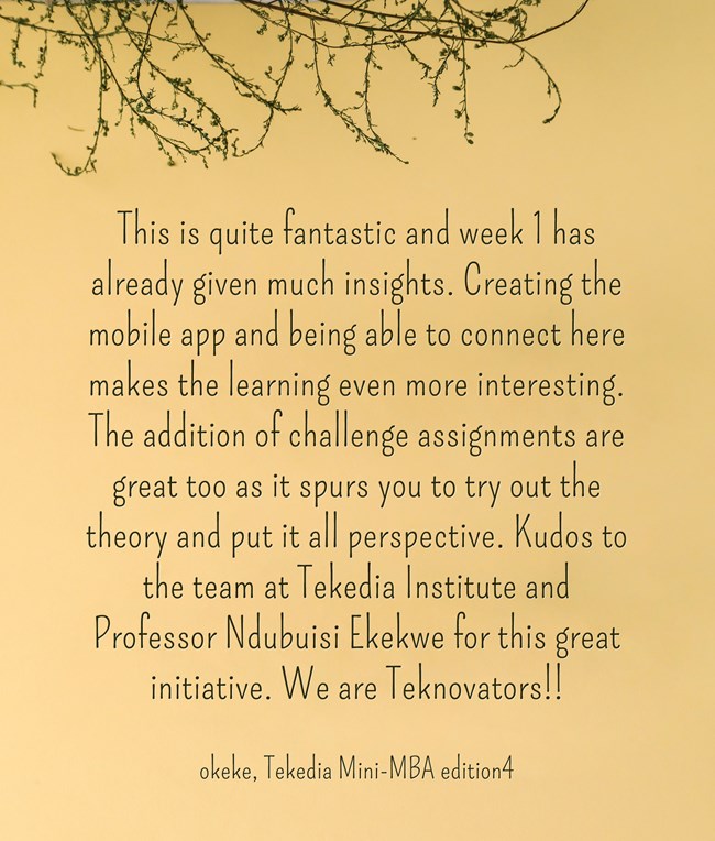 A Testimonial On Tekedia Mini-MBA Editor 4:  We are Teknovators