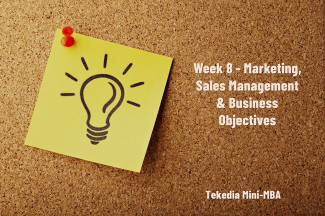 Week 8 at Tekedia Mini-MBA: Marketing, Sales Management & Business Objectives